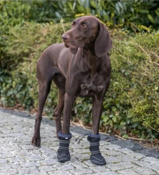Trixie 2pcs Active Long Paw Protection Walker Boots for Dogs