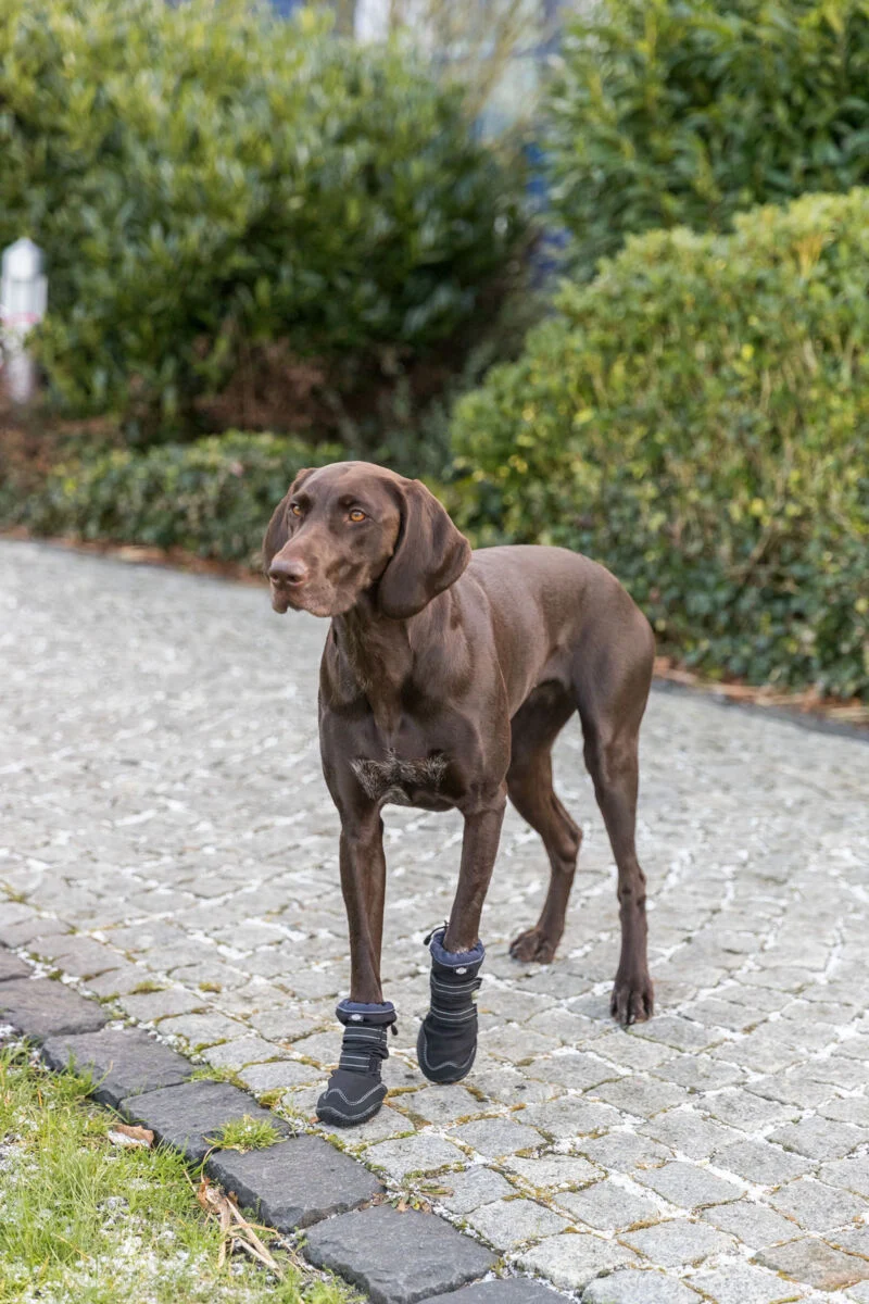 Trixie 2pcs Active Long Paw Protection Walker Boots for Dogs