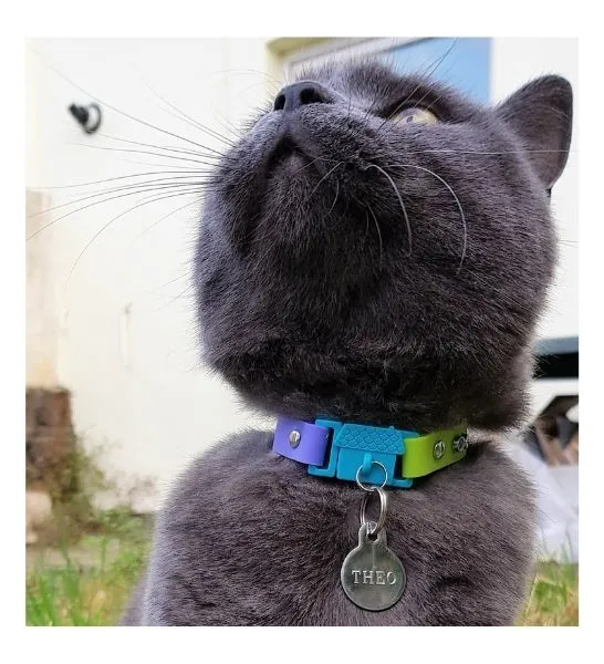 Kittyrama Tahiti Cat Collar 19.5cm - 26.5cm