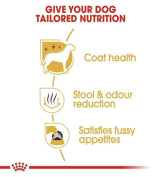 Royal Canin Maltese Adult Dry Dog Food 1.5KG