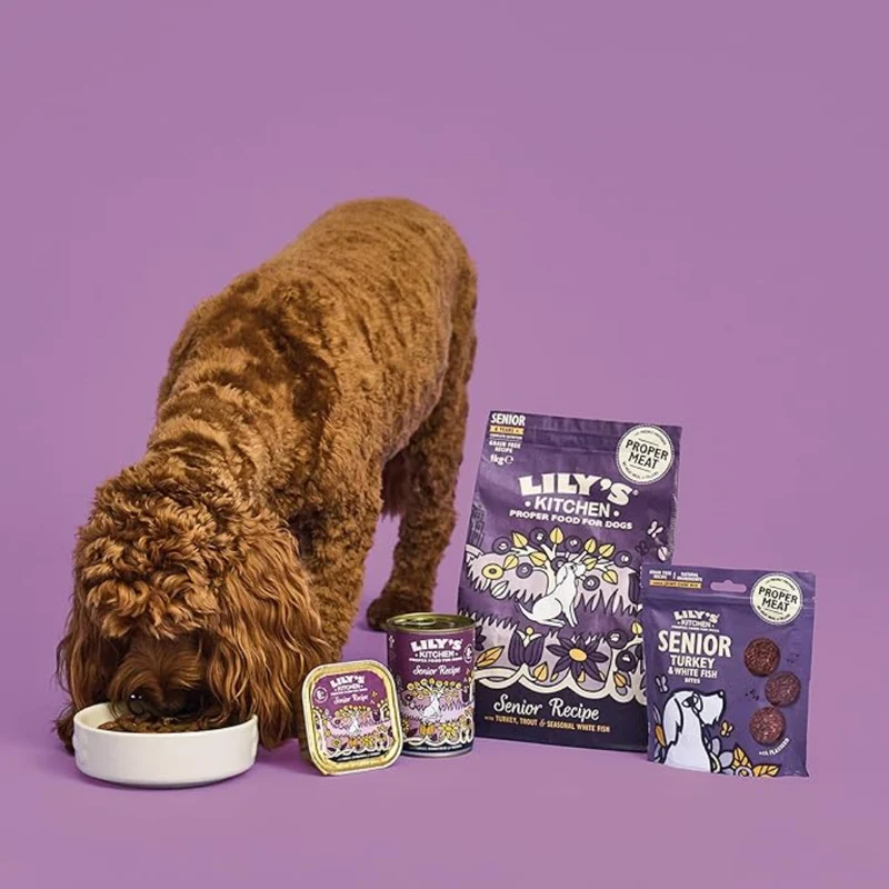 Lily's Kitchen Senior Recipe Dog Wet Food
