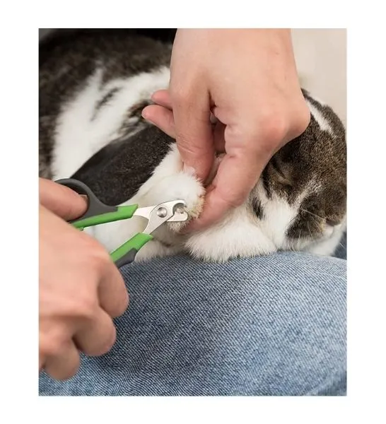 Trixie Colourful Claw Scissors for Small Pets 8cm