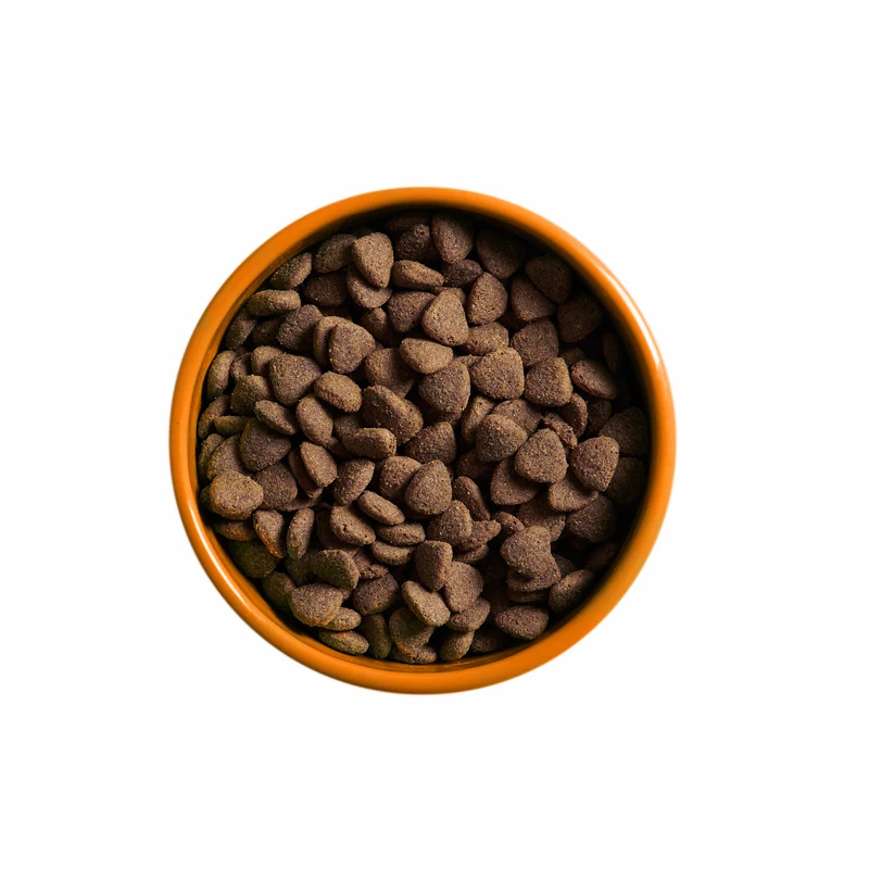 Yora Pet Foods Superfood Insect Protein Large Breed Adult Dry Dog Food