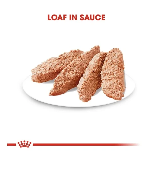 Royal Canin Dermacomfort Care In Loaf Dog Wet Food 85G