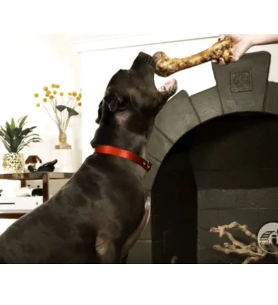 Red Barn Ham Bone X-Large Dog Treats 283G 283g