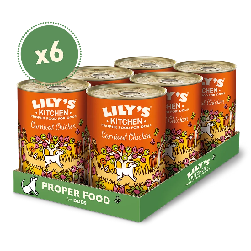 Lily's Kitchen Carnival Chicken Canned Dog Wet Food