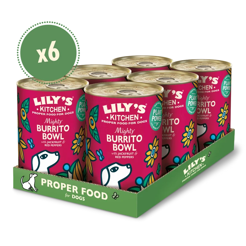 Lily's Kitchen Mighty Burrito Bowl Canned Adult Wet Dog Food