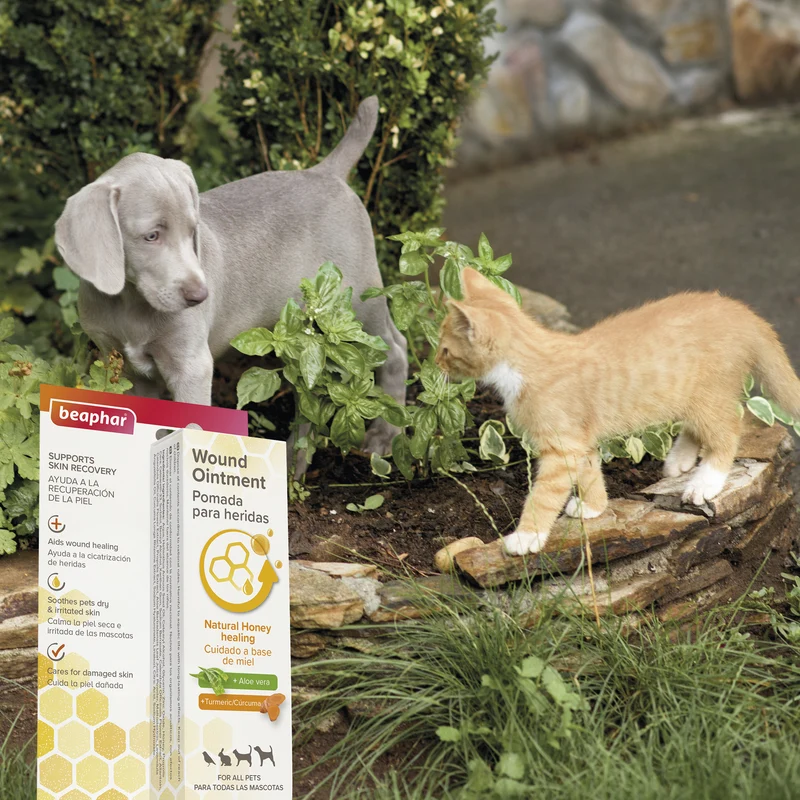 Beaphar Wound Ointment for Pets 30ml