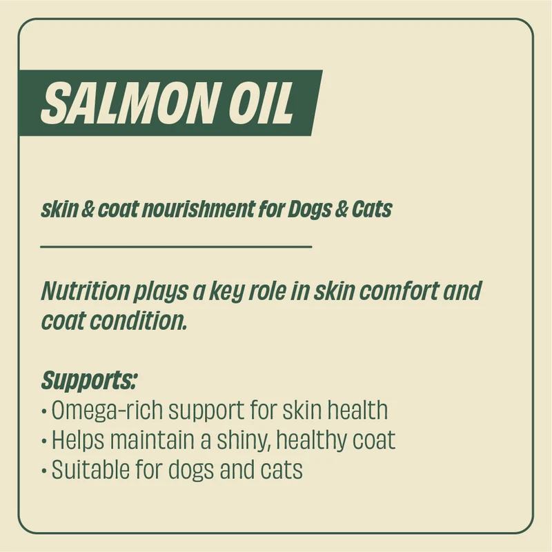 Beaphar Salmon Oil for Dogs & Cats 430ml