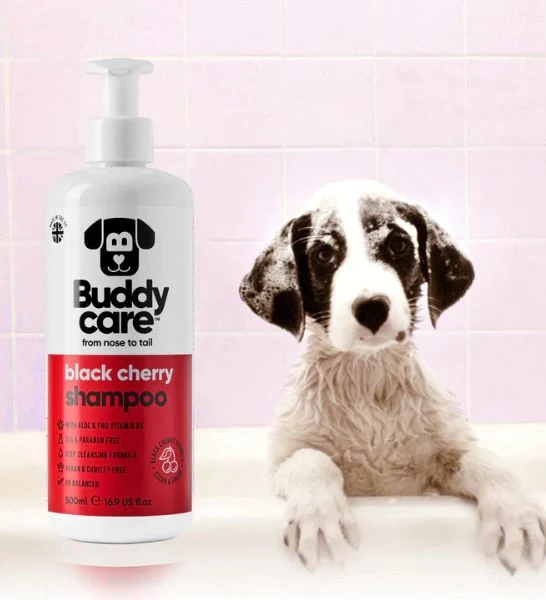 Buddycare Black Cherry Dog Shampoo