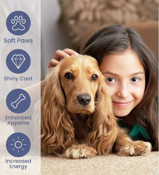 Brilliant Salmon Oil Food Supplement for Dogs and Cats 300ml