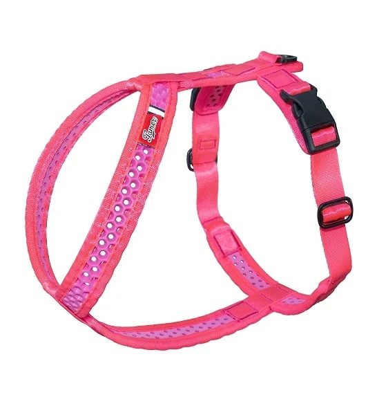 Tamer Harness SOFTY for Dogs