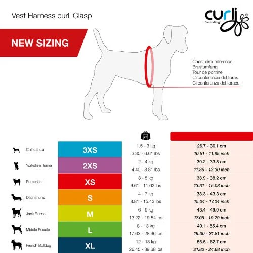 Curli Vest Harness with Curli Clasp Air Mesh & Leash for Dogs