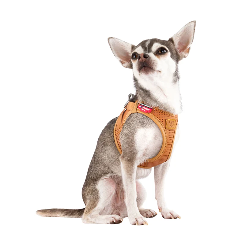 Curli Clasp Vegan Apple Leather Vest Harness For Dogs