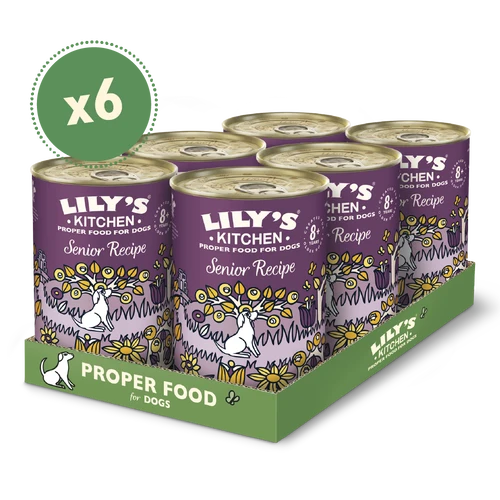 Lily's Kitchen Senior Recipe Dog Wet Food
