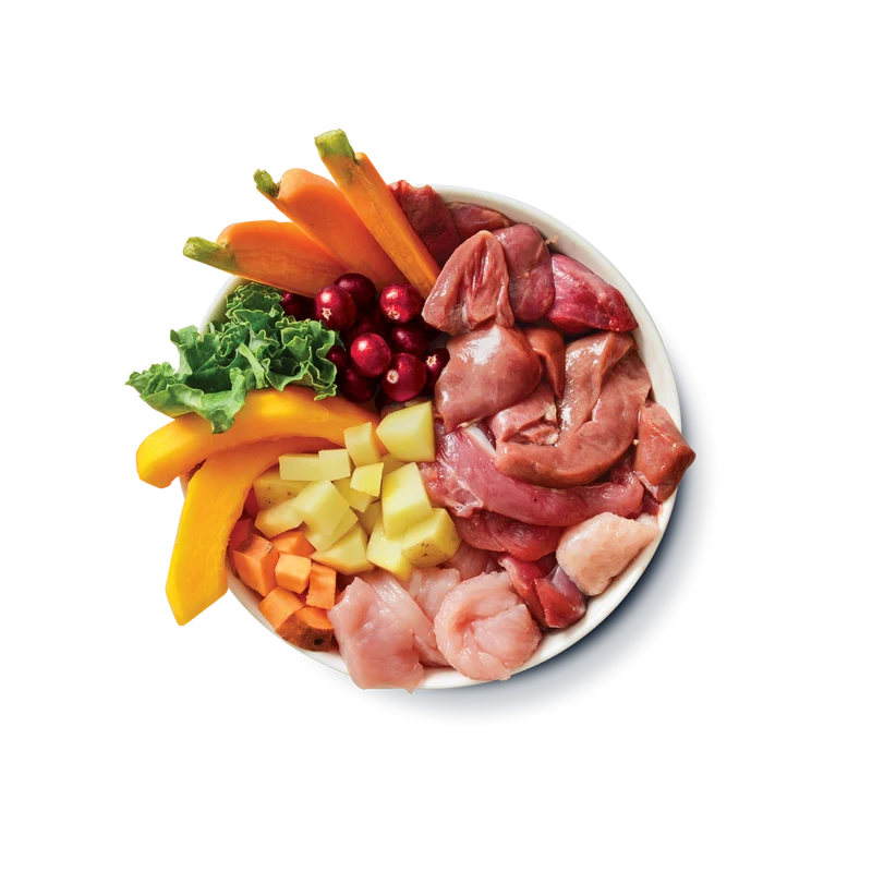 Lily's Kitchen Turkey & Duck Recipe Puppy Wet Food