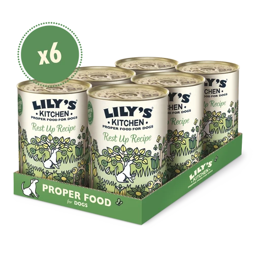 Lily's Kitchen Recovery Recipe Wet Dog Food