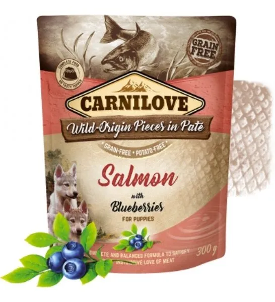 Carnilove Salmon with Blueberries for Puppies Wet Food 300G