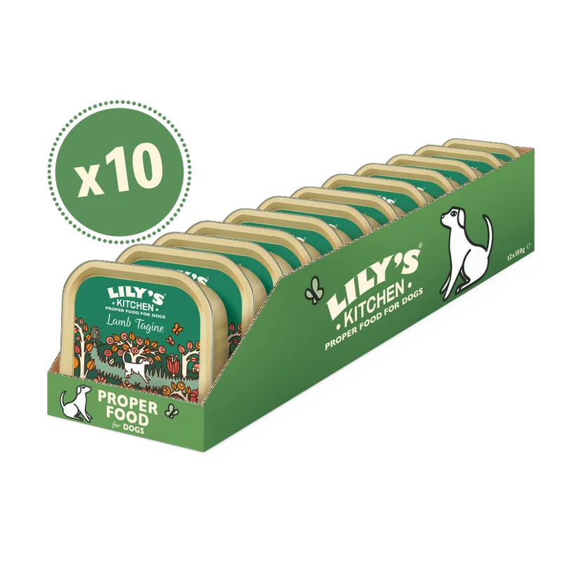 Lily's Kitchen Lamb Tagine Dog Wet Food