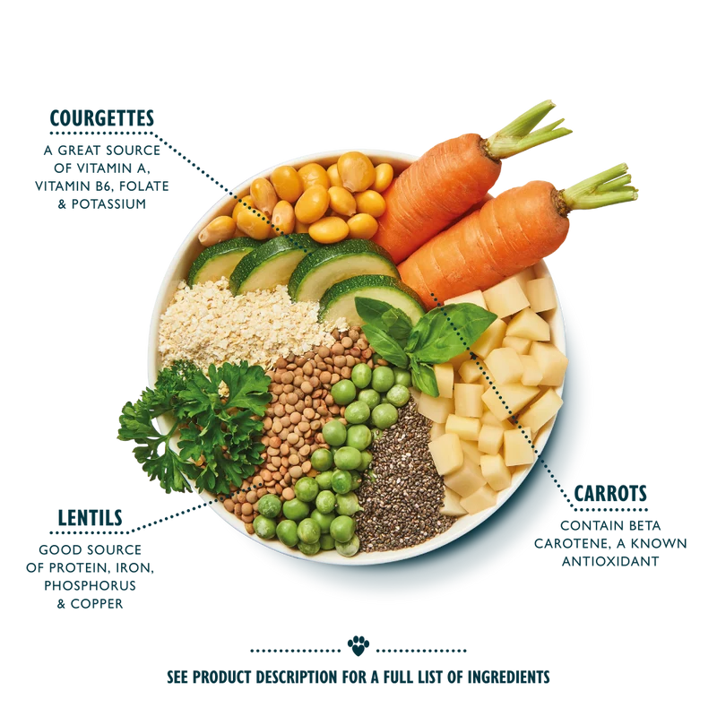 Lily's Kitchen Vegan Rainbow Stew Dog Wet Food