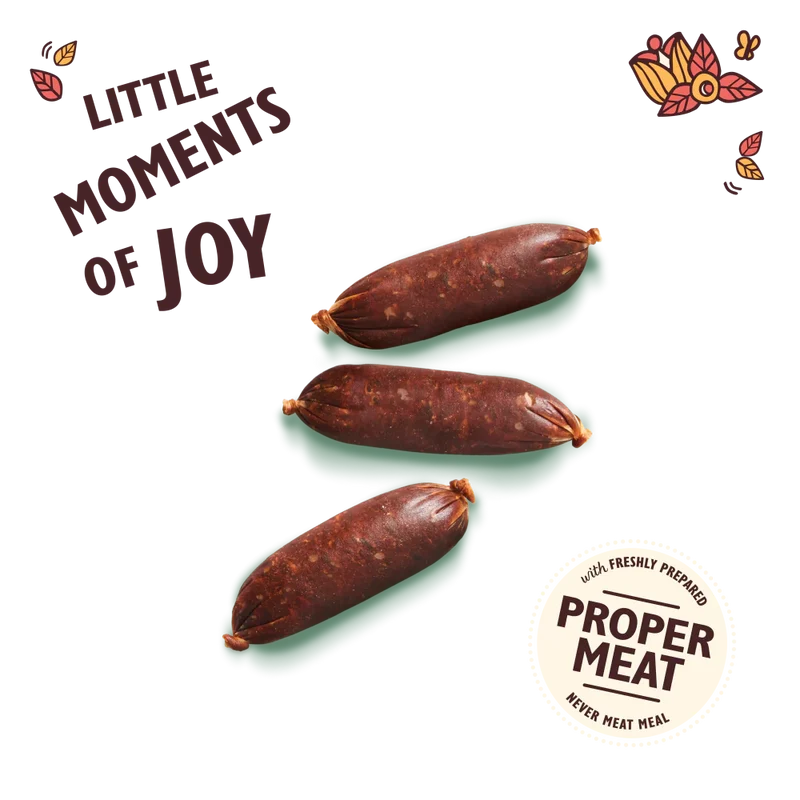Lily's Kitchen Cracking Pork & Apple Sausages Dog Treats 70G