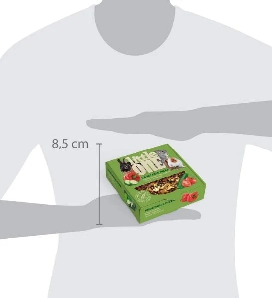 Little One Vegetable Pizza Treat for Small Pets 55G