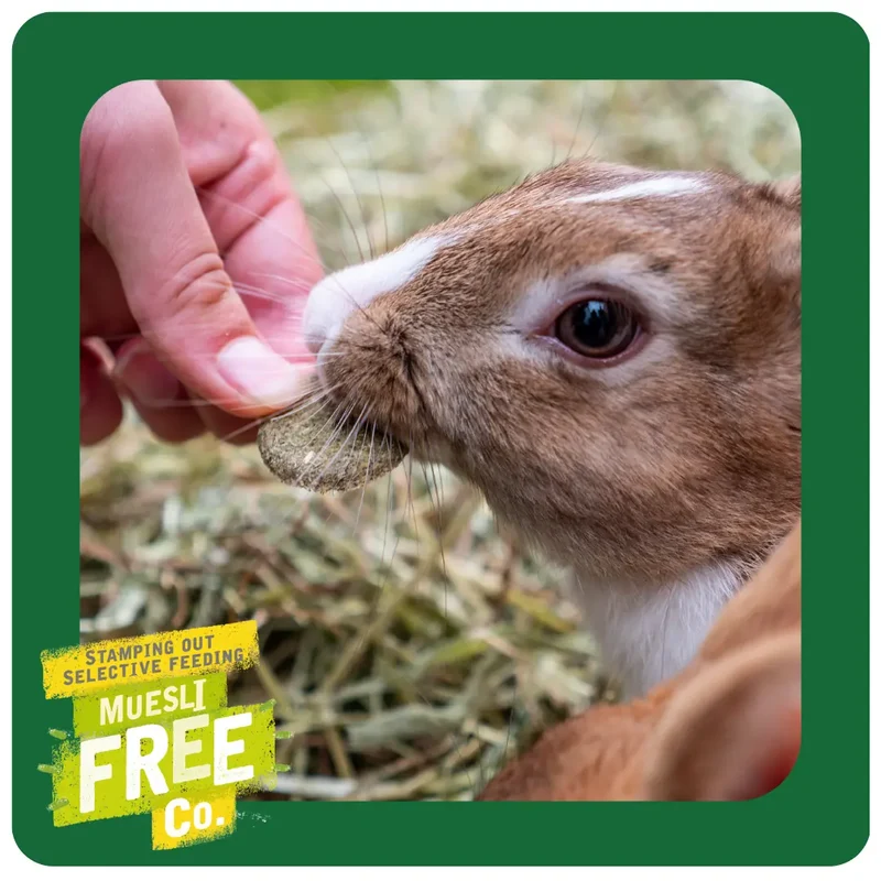 Burgess Excel Forage & Feast Hay Bar With Rose Small Pet Treats 60G