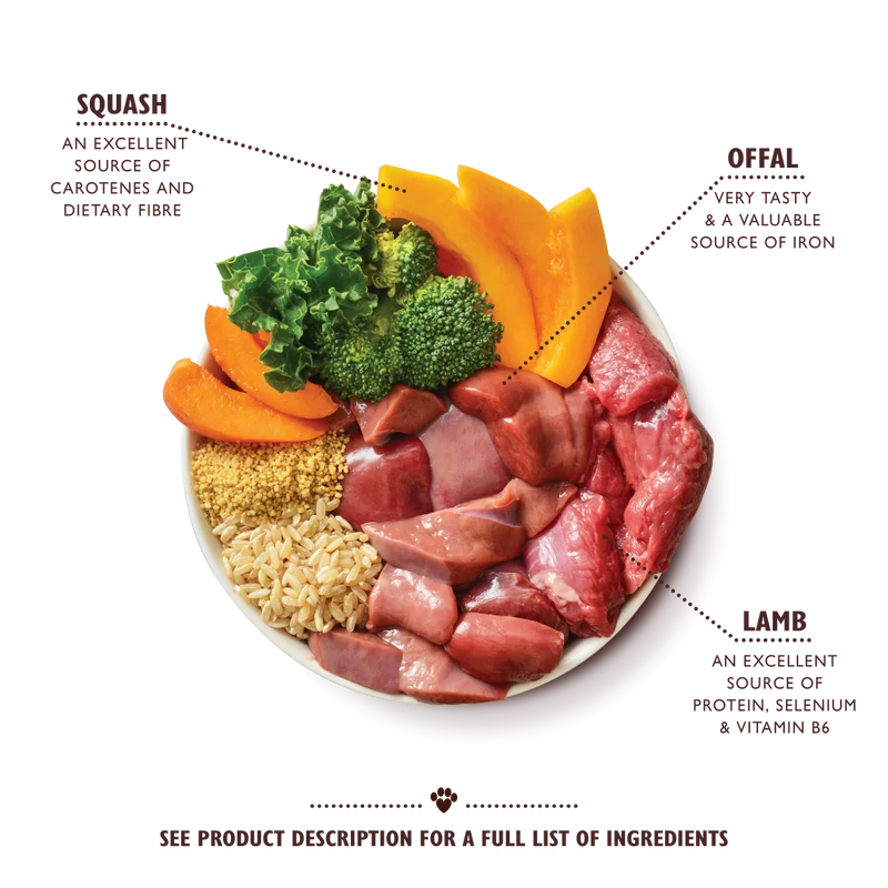 Lily's Kitchen Lamb Tagine Dog Wet Food