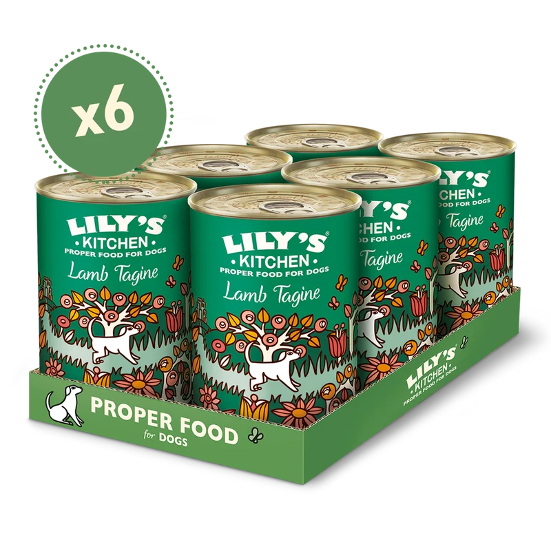 Lily's Kitchen Lamb Tagine Canned Dog Wet Food