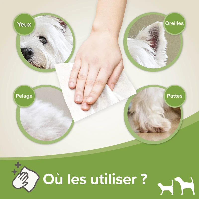 Lingettes nettoyantes à l'aloe vera