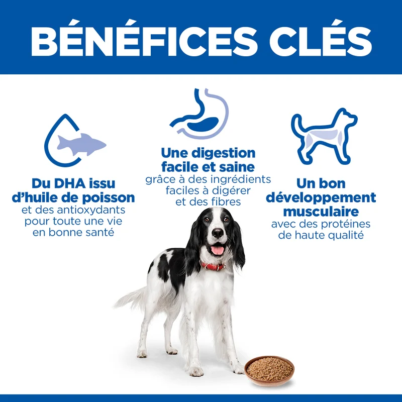 Hill's Science Plan All Breed Adult au poulet ou boeuf - pâtée chien