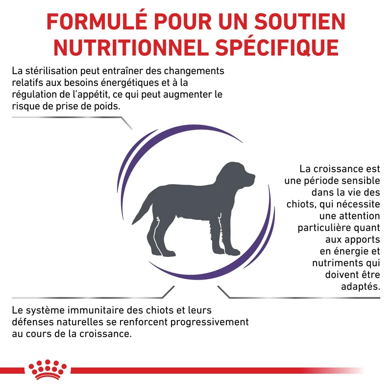 Royal Canin Veterinary Neutered Junior Dog - Croquettes pour chiot