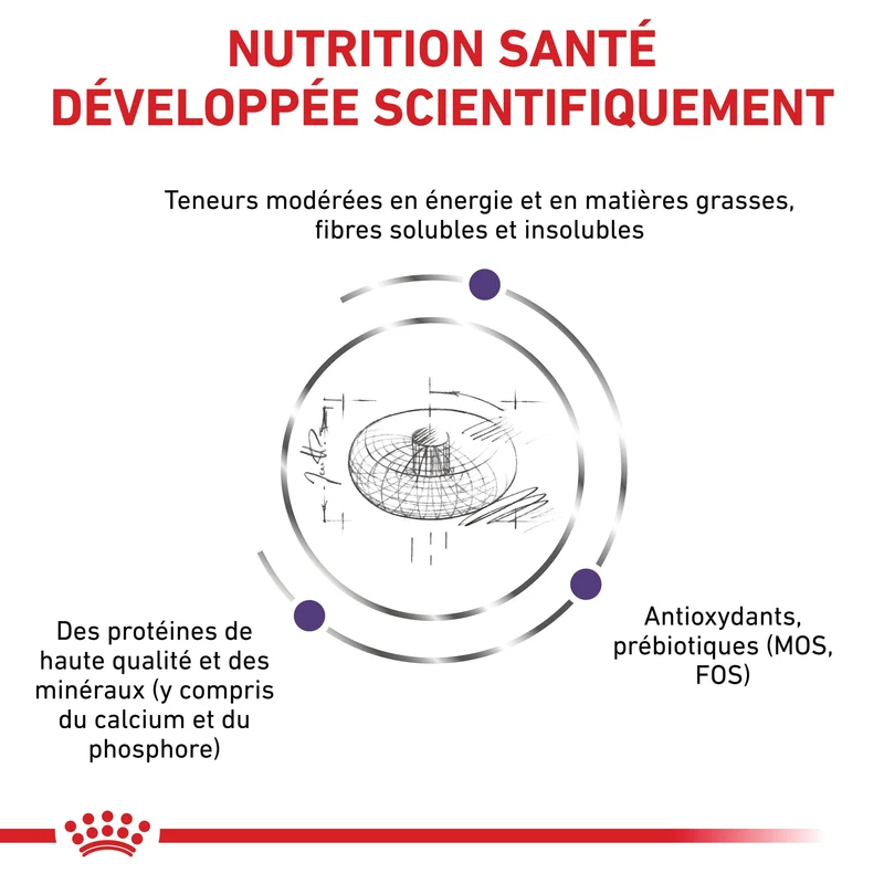 Royal Canin Veterinary Neutered Junior Dog - Croquettes pour chiot