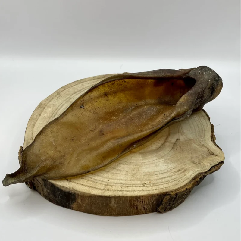 Oreille de Bœuf Séchée – Naturelle