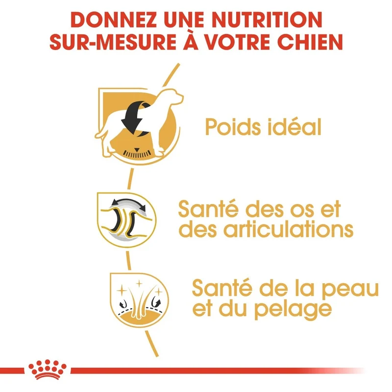 Royal Canin Labrador Retriever Adult - croquettes chien