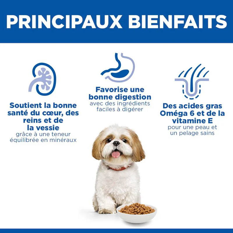 Hill's Science Plan Small & Mini Mature Adult 7+ au poulet - croquettes chien