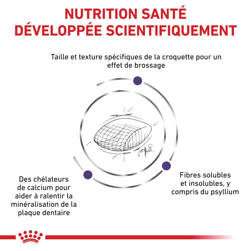 Royal Canin Veterinary Dental - croquettes chat