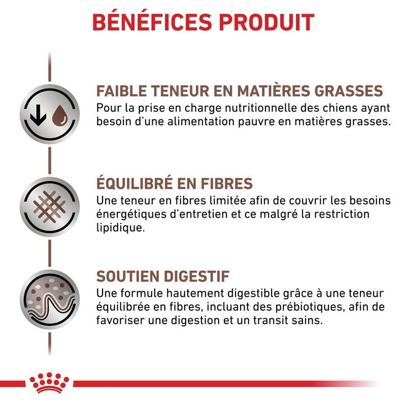 Royal Canin Veterinary Gastrointestinal Low Fat - croquettes chien