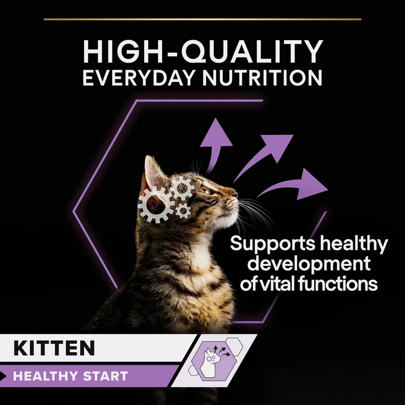 Purina Pro Plan Kitten Turkey in Gravy Wet Cat Food