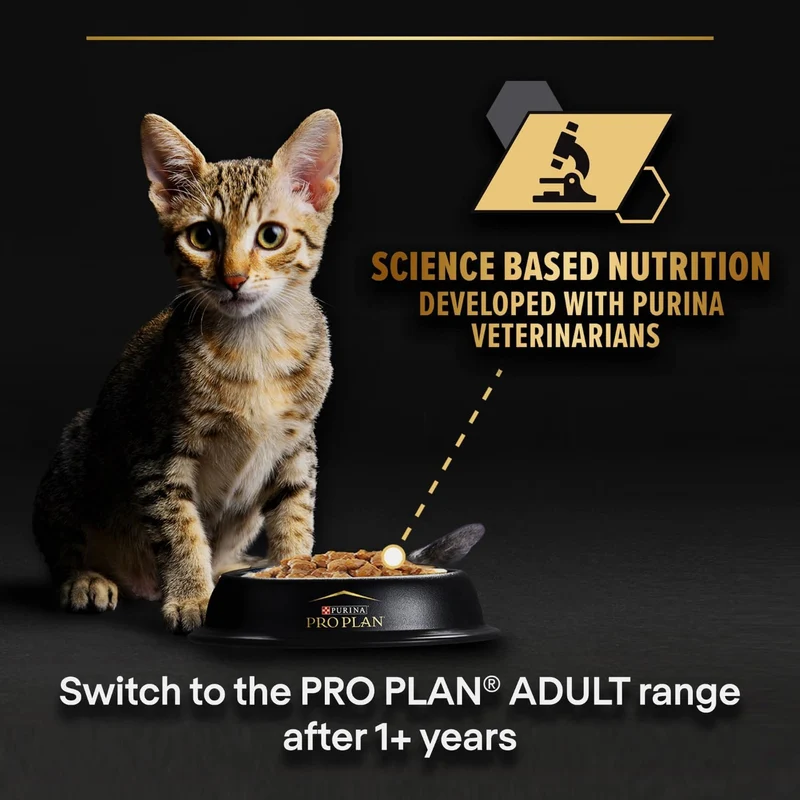 Purina Pro Plan Kitten Turkey in Gravy Wet Cat Food