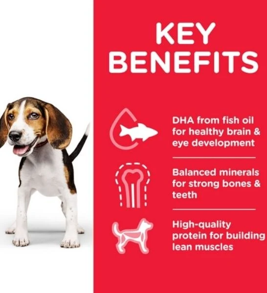 Hill's Science Plan Medium Puppy Food with Chicken