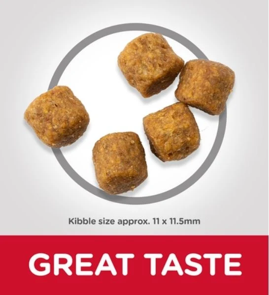 Hill's Science Plan Medium Adult with Lamb & Rice