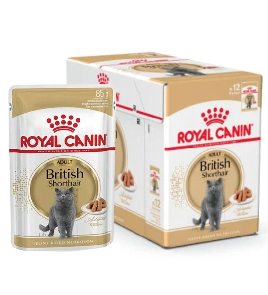 Royal Canin British Shorthair Adult Wet Cat Food