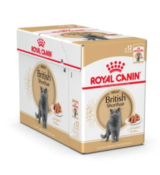 Royal Canin British Shorthair Adult Wet Cat Food