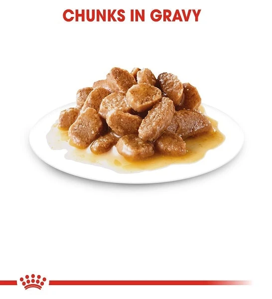Royal Canin Mini Adult In Gravy-Salsa Wet Dog Food 85G