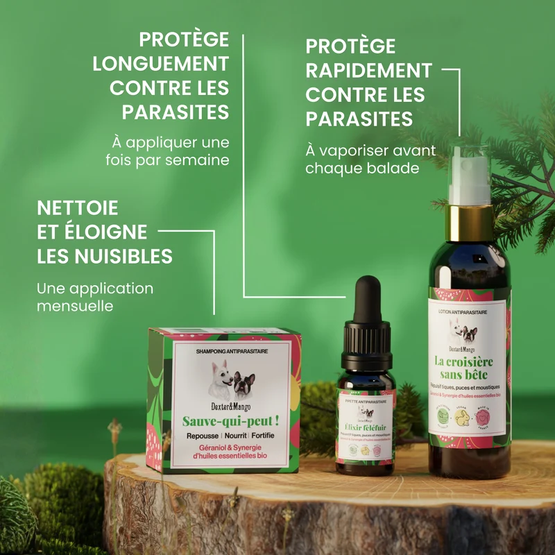 Pack antiparasitaire chien : une routine naturelle + une pochette D&M offerte
