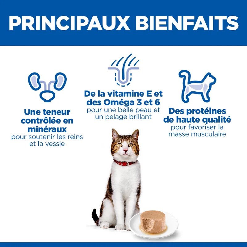 Hill's chat Mature Adult 7+ Mousse Poulet