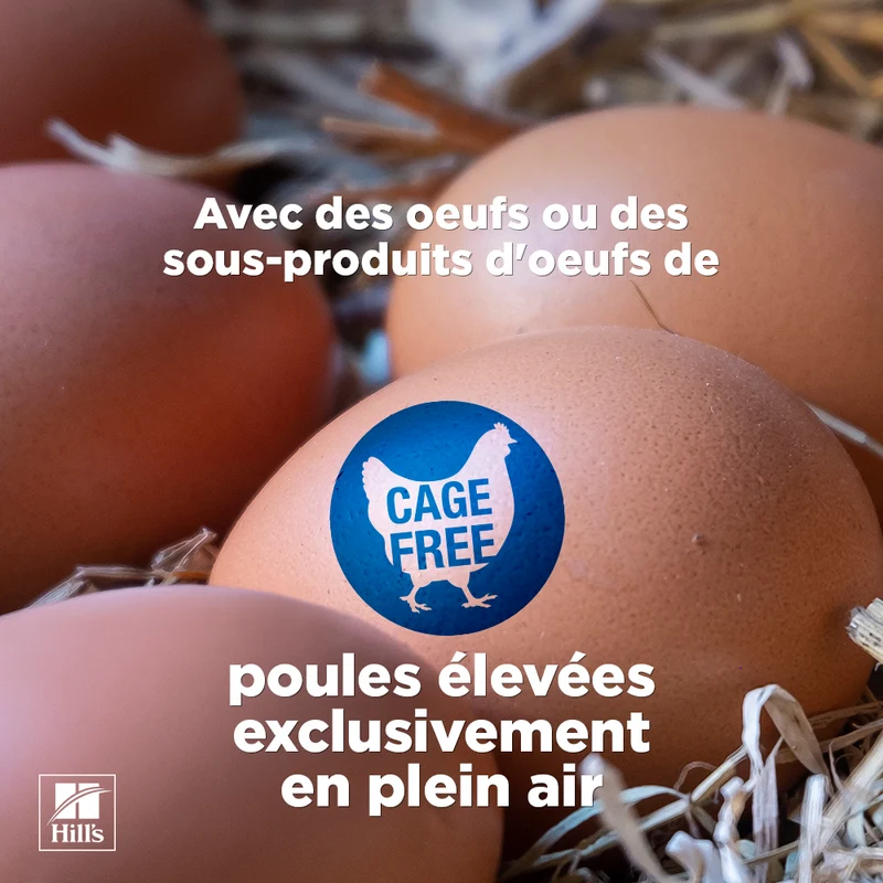 Hill's chat Mature Adult 7+ Mousse Poulet