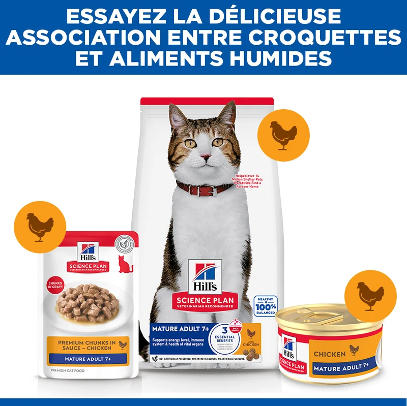 Hill's chat Mature Adult 7+ Mousse Poulet