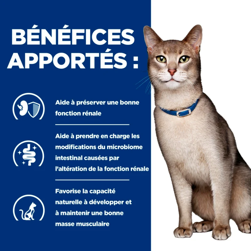 Hill's PRESCRIPTION DIET k/d Kidney Mousse pour Chat